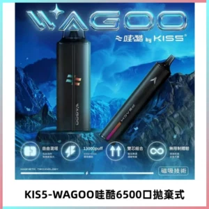KIS5WAGOO哇酷6500口拋棄式 | 自由混搭雙口味 | 雙芯組合